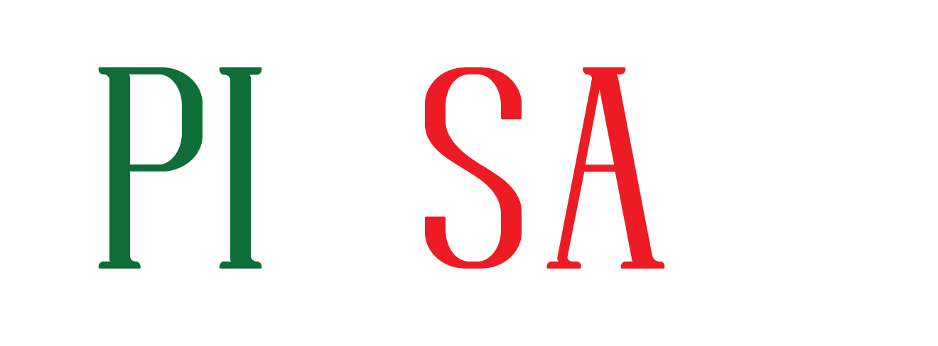 pinsa104 logo web only white